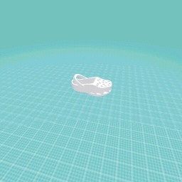 Shoe