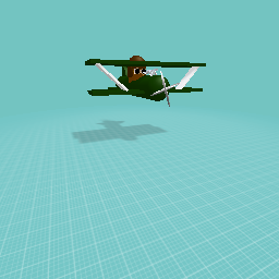 Bean Biplane