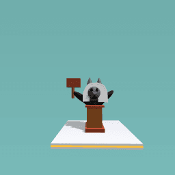 Cat Judge