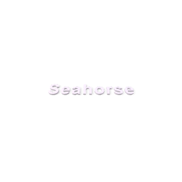 Seahorse