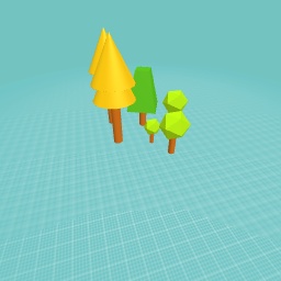 The enchanted forest of magic