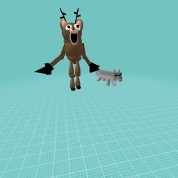 99 nights in the forest