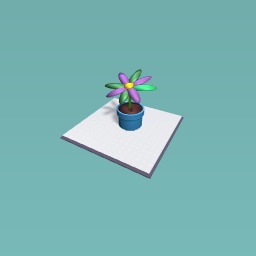 a flower pot