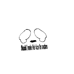 Should i make this face?