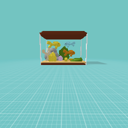 Fish tank
