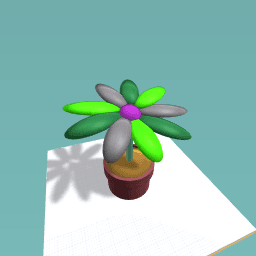 A perfect pizza in a box