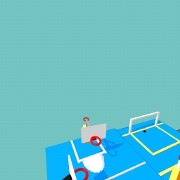 Luxury high school sports court