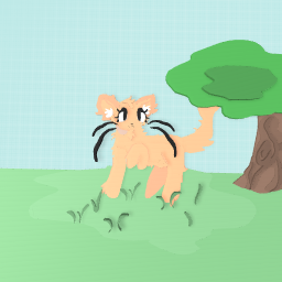 Cat - wariror cats