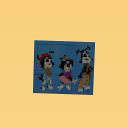 animaniacs wakkos wish