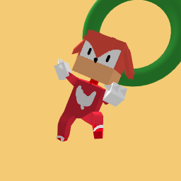 Knuckles: Outcome memories