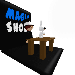 Magic show