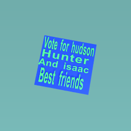Vote hudson