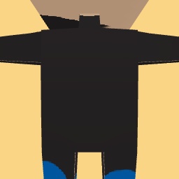 Bitterlucky pants and arm supportors copy