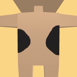 new costume