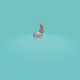 My rabbit