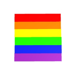 Pride Flag (pls read desc)