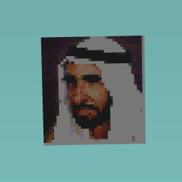 al she3 zayed