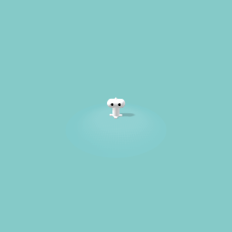 Hammerhead lark