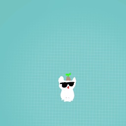 Coolcat