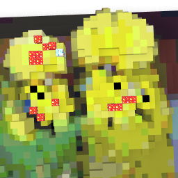 2 budgies