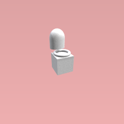 video toilet