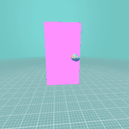 The door