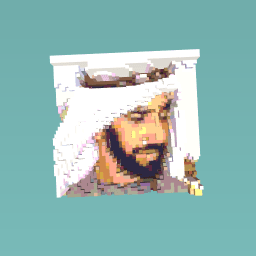 shake zayed
