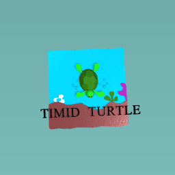 TIMID TURTLE