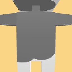 new costume