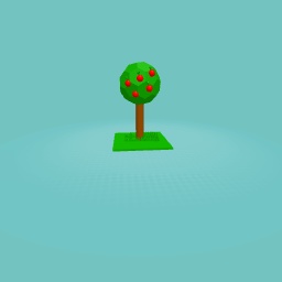 Apple Tree