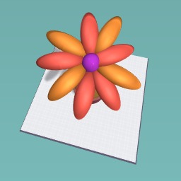 Fall flower