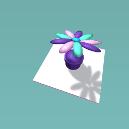 Please give me some likes!