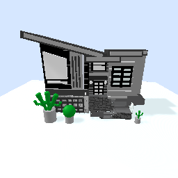 Modern house