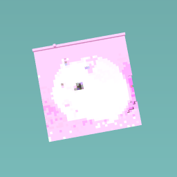 White hamster