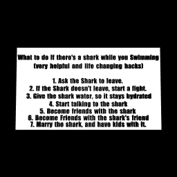 WHAT TO DO IF THERE'S A SHARK WHILE YOUR SWIMMING!