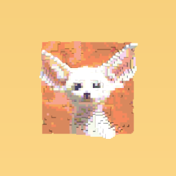fennec fox