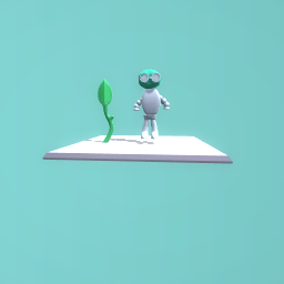 nerdy frog and his plant