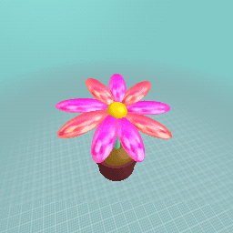 maijek  flower  💌