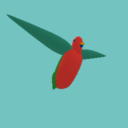 King Parrot