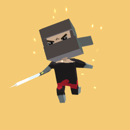 Ninja