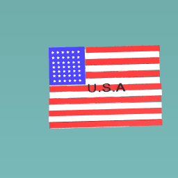 US flag