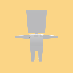 White Crop Top!