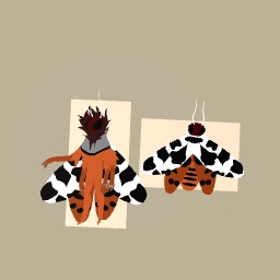Garden tiger moth
