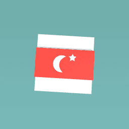 National flag of turkey