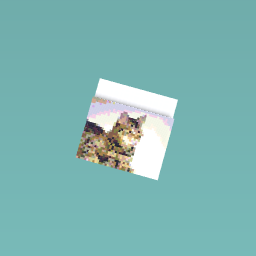 Cute cate xxxxxxxxxx