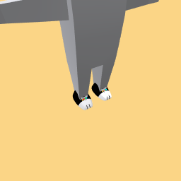 Paw shoes
