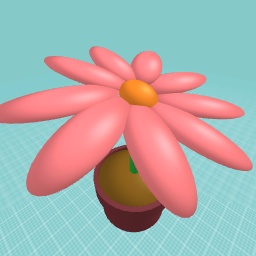 Pink flower for my sister