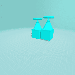 The double space ship