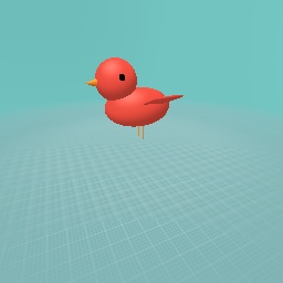 bird