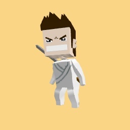 Ninja